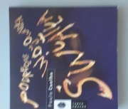 Podręcznik wojownika światła.