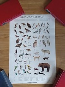 Plakat / litografia Hakan Deli 85 Naturvardsverket