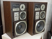 Unikatowe Kolumny Aktywne BLAUPUNKT AL-120