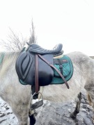 Siodło rajdowe Pleszew 17” łęk S