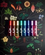 Aromaterapia dla 7 CZAKR - 7 rollonów ZESTAW