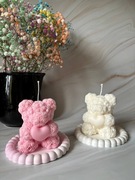 Świecie Miś kolorowy 