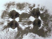 Opiłki żelaza do doświadczeń 2ml POMOC SZKOLNA dydaktyczna