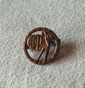 ODZNAKA  ADTV niemieckie stowarzyszenie nauczycieli tańca