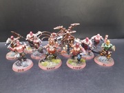 Warhammer Age of sigmar old world chaos Khorne blood reavers