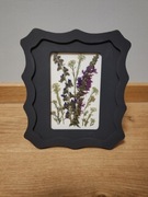 Obrazek z suszonych kwiatów 