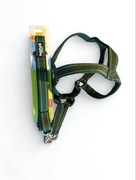 Zielona smycz z karabińczykiem