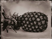 Ambrotypia - Hell's Kitchen 005