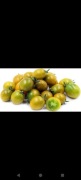 Nasiona kolekcjonerskie pomidora GREEN GRAPE TOMATO