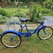 Rower miejski Gazelle STANDARD rama 20 cali koło 24 " srebrny