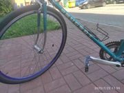 Kolarka pegout 21 cali