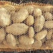 Ziemniaki Ignacy 15kg bez nawozów sztucznych od rolnika