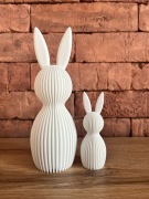 Zając Wielkanoc Święta 