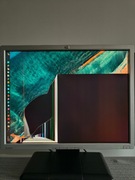 Monitor HP LP2065 - 20" - uszkodzony ekran (pęknięta matryca)