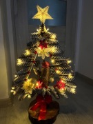 Choinka na pniu drzewa