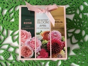 Zestaw 3 mini mgiełek Bath & Body Works