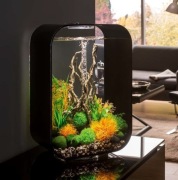 BiOrb LIFE 45 LED Czarny zestaw akwarium 45l