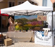 NAMIOT HANDLOWY 3x3m SZYBKOROZKŁADANY