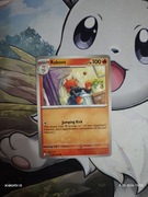 Raboot (MEG 027/132)