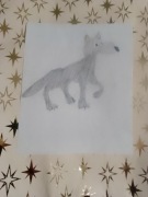 Wilk rysunek Magdaleny