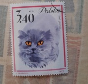 Znaczek pocztowy kot perski 