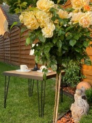 Stoliki kawowe w stylu Loft