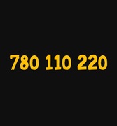 ZŁOTY PLATYNOWY NUMER 780 110 220