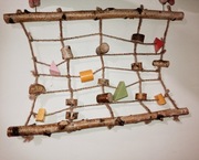 Ścianka wspinaczkowa dla papug 