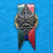 Odznaka 2 Pułk Strzelców Konnych