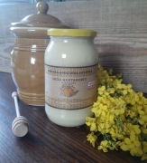 Miód nekatarowy rzepakowy 2025- Pasieka rodzinna