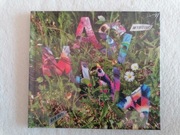 Płyta CD Asi Mina Wybiegły! 