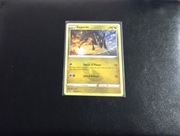 Karta Pokémon Zygarde (SIT 134)