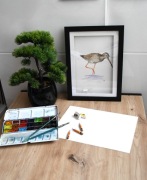 BRODZIEC ŚNIADY autorska akwarela A4 od Yakku