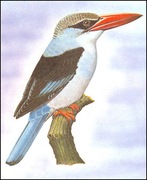 Wyspy Św Tomasza i Książęce - Ptaki, (zestaw 574)