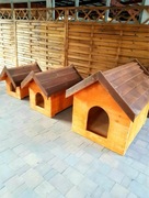 Solidne budy dla psa – ocieplane, drewniane, grube deski 5 cm 