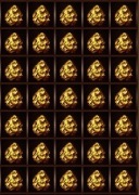 Bryłki Elitemt2.eu s2 40b=20zł  