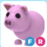 FR Pig roblox adopt me