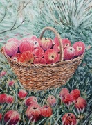 Obraz akwarelowy Jabłka w koszu 