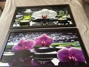 Zestaw obrazów storczyki różowy i biały duże