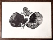 Linoryt ,,Naczynia Połączone" 39x27 Martyna Byczyńska 2019