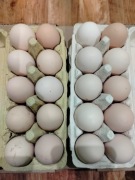 Jajka ze wsi od szczęśliwych kurek karmionych naturalnie. PREMIUM