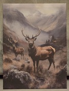 Piękny obraz myśliwski JELEŃ BYK Rykowisko. Polowanie. 30x40cm. Nowy