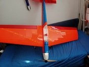 Artist z Top model. Cz