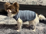 Sweterek dla psa/odzież dla psa