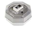 INKUBATOR 60 JAJ KURZYCH 28 GĘSICH ENERGOOSZCZĘDNY AUTOMAT LCD TERMOSTAT 