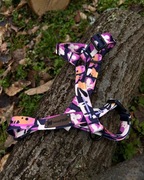 SZELKI GUARD DLA PSA  Rozmiar M - Psiaki Świraki