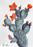 Kaktus opuncja figowa Original Akwarela 30*21cm