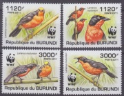 Ptaki WWF Burundi 2011 czyste **
