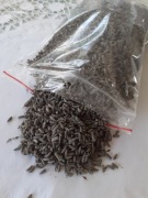 Lawenda francuska suszona