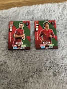 karty FIFA world cup qatar2022 Portugalia